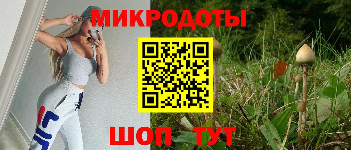 Галлюциногенные грибы Psilocybine cubensis  Вход с VPN  Новочеркасск 