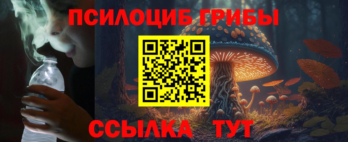Псилоцибиновые грибы GOLDEN TEACHER Новочеркасск
